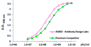 Phage ELISA